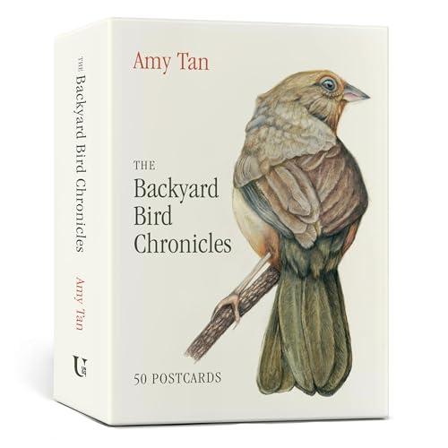 Backyard Bird Chronicles: 50 Postcards