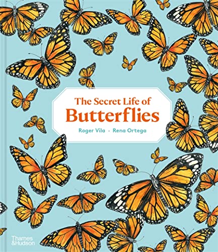 Secret Life of Butterflies