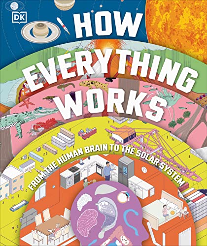 How Everything Works: From Brain Cells to Black Holes