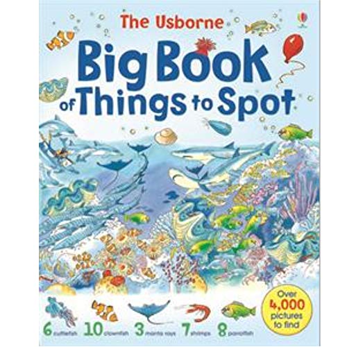Usborne Big Book of Things to Spot