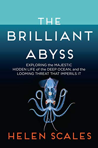 Brilliant Abyss: Exploring the Majestic Hidden Life of the Deep Ocean, and the Looming Threat That Imperils It