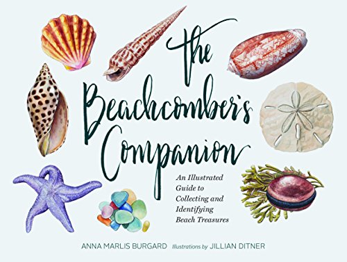 Beachcomber's Companion: An Illustrated Guide to Collecting and Identifying Beach Treasures (Watercolor Seashell and Shell Collecting Book, Bea