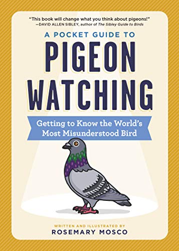 Pocket Guide to Pigeon Watching: Getting to Know the World's Most Misunderstood Bird