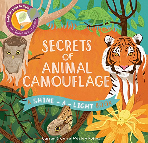Secrets of Animal Camouflage