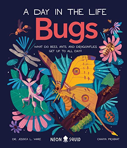 Bugs (a Day in the Life): What Do Bees, Ants, and Dragonflies Get Up to All Day?