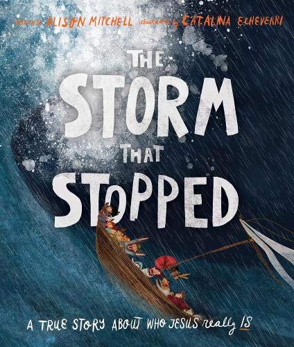 Storm That Stopped: A True Story about Who Jesus Really Is