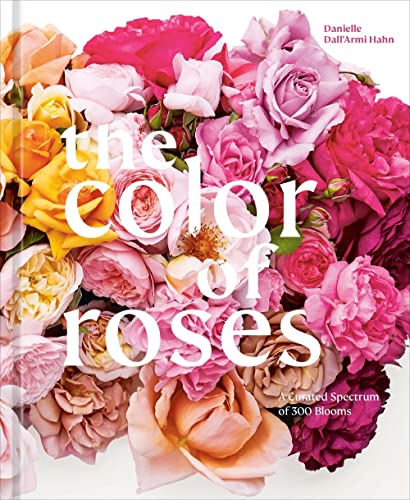 Color of Roses: A Curated Spectrum of 300 Blooms