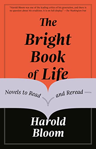 Bright Book of Life: Novels to Read and Reread