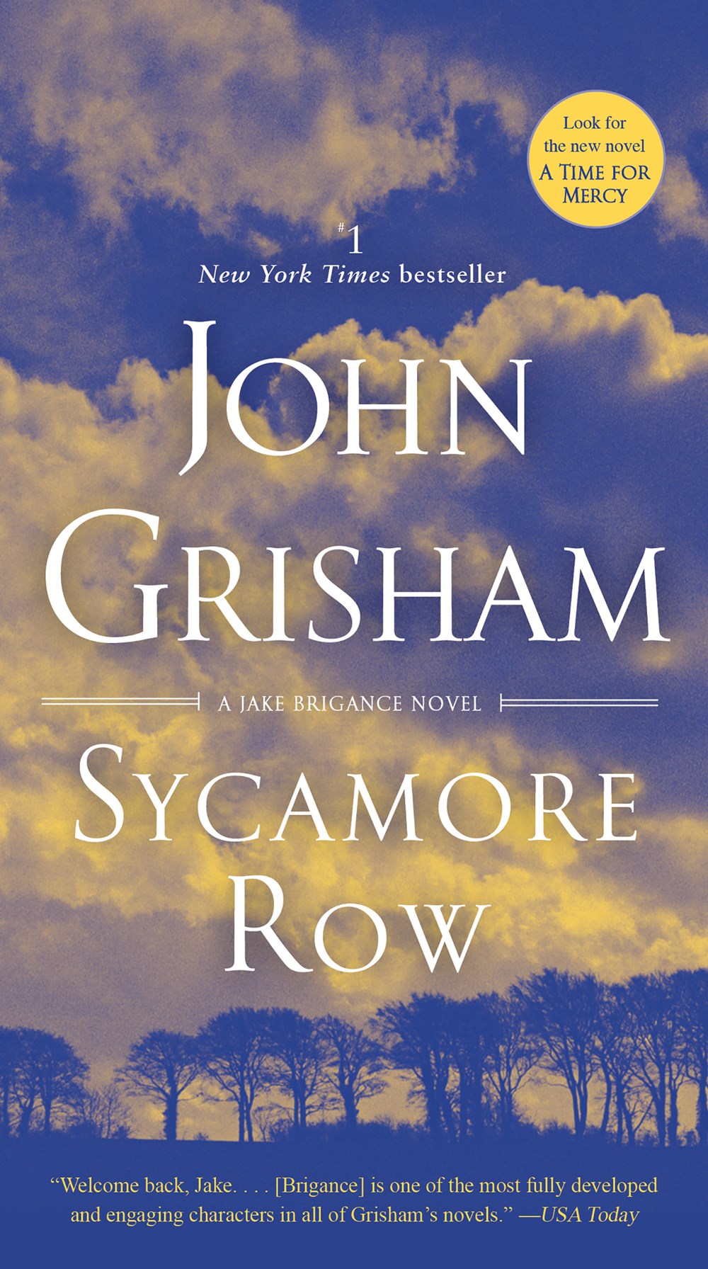 Sycamore Row ( Jake Brigance #2 )