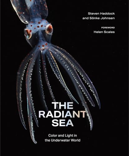 Radiant Sea: Color and Light in the Underwater World