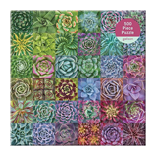 Succulent Spectrum 500 Piece Puzzle