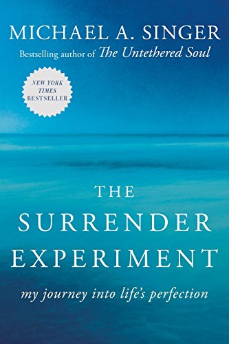 Surrender Experiment: My Journey Into Life's Perfection
