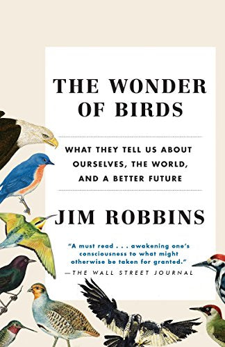 Wonder of Birds: What They Tell Us about Ourselves, the World, and a Better Future