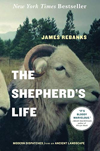 Shepherd's Life: Modern Dispatches from an Ancient Landscape