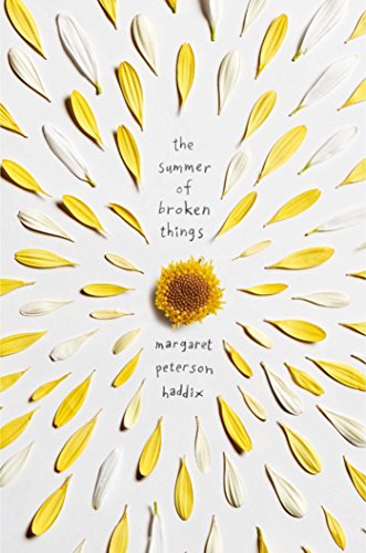 Summer of Broken Things (Reprint)