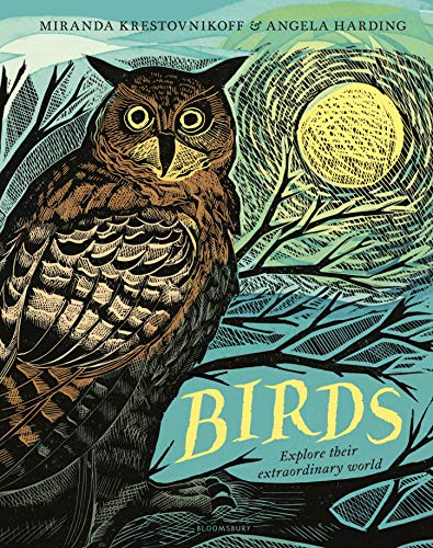 Birds: Explore Their Extraordinary World