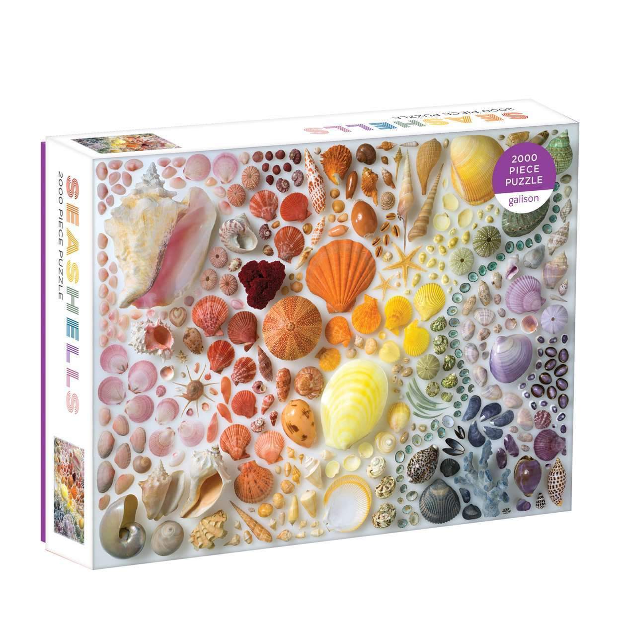 Rainbow Seashells 2000 Piece Jigsaw Puzzle